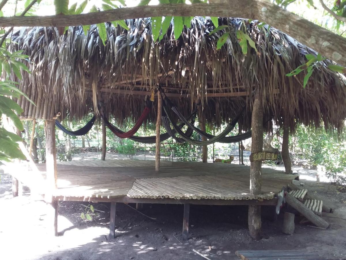 Eco-Camping Mango Feliz Rincon Del Mar San Onofre Luaran gambar