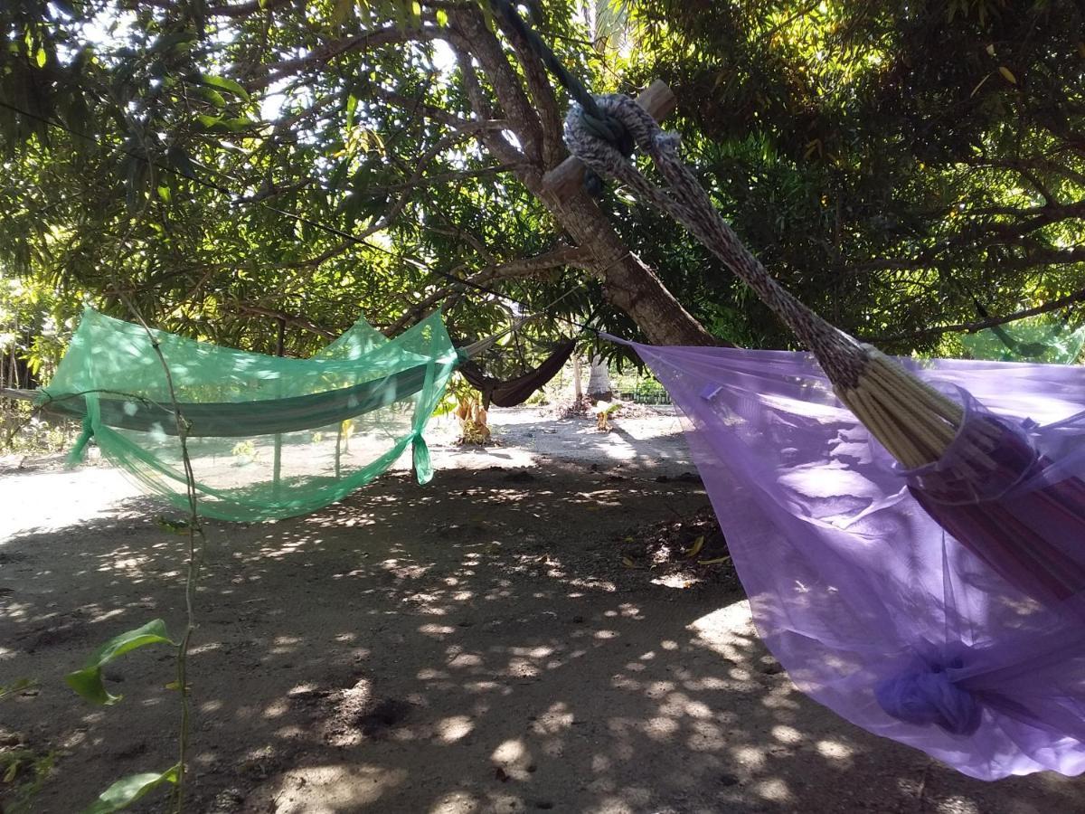Eco-Camping Mango Feliz Rincon Del Mar San Onofre Luaran gambar
