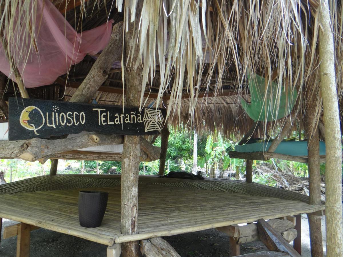 Eco-Camping Mango Feliz Rincon Del Mar San Onofre Luaran gambar