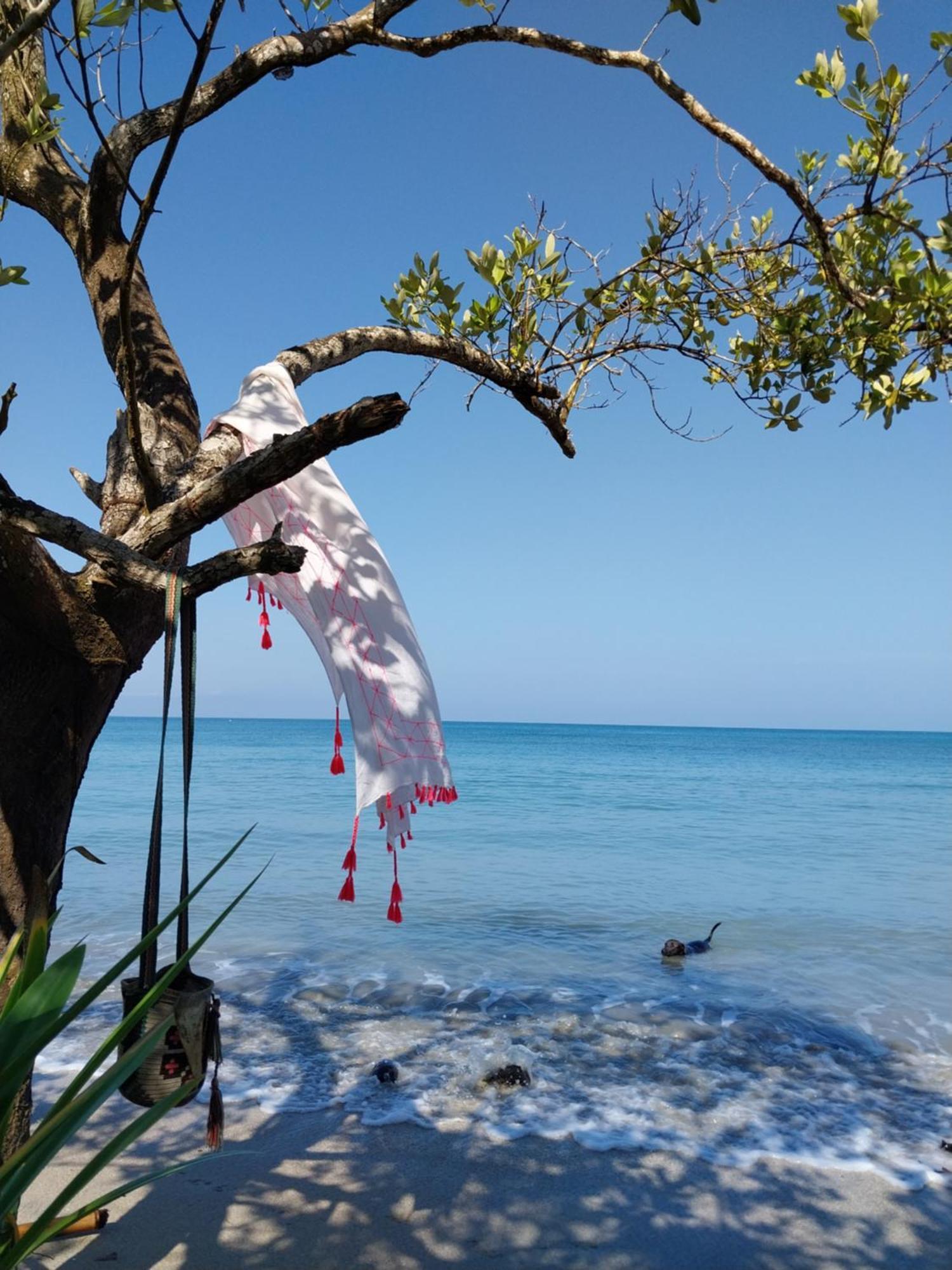 Eco-Camping Mango Feliz Rincon Del Mar San Onofre Luaran gambar