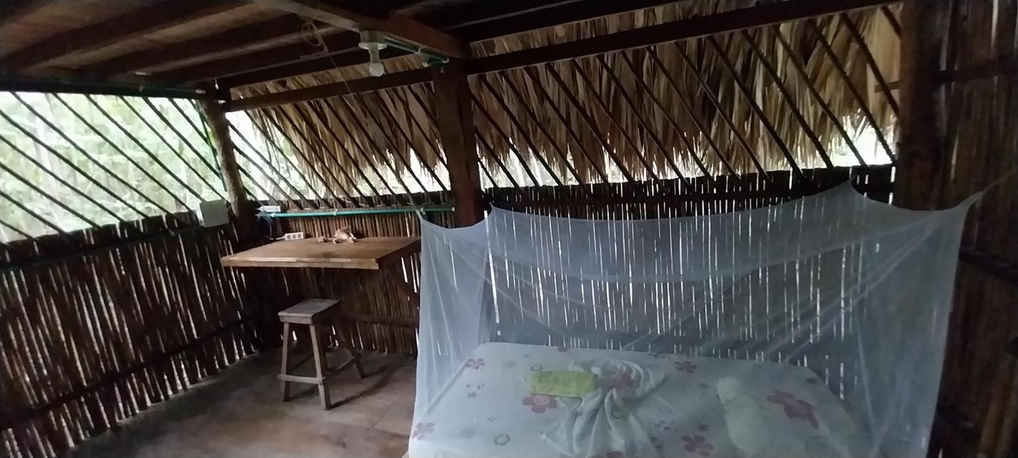 Eco-Camping Mango Feliz Rincon Del Mar San Onofre Luaran gambar