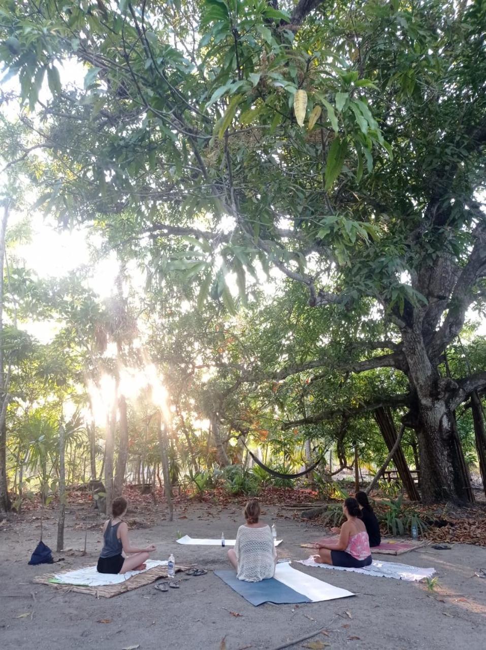 Eco-Camping Mango Feliz Rincon Del Mar San Onofre Luaran gambar